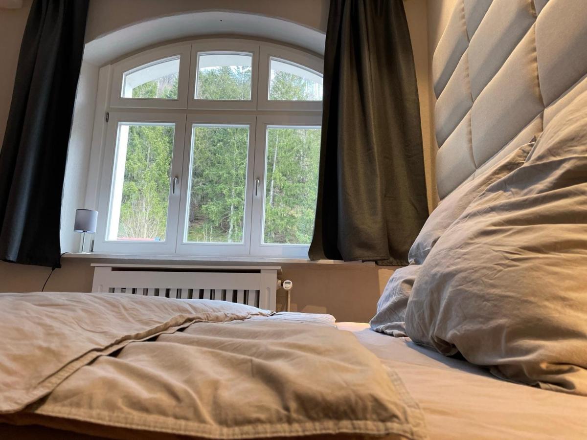 Bergrauschen - Waldloft - Preise Inklusive Waesche Apartment กอสลาร์ ภายนอก รูปภาพ