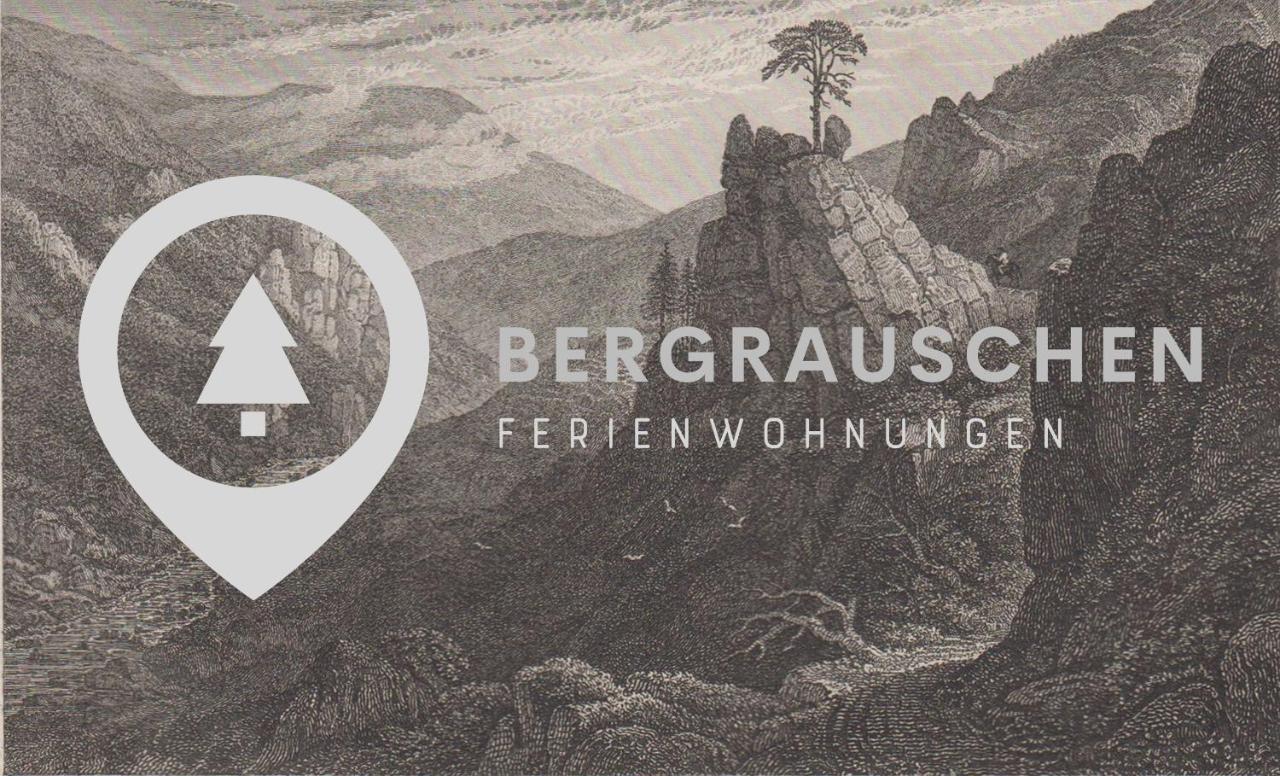 Bergrauschen - Waldloft - Preise Inklusive Waesche Apartment กอสลาร์ ภายนอก รูปภาพ